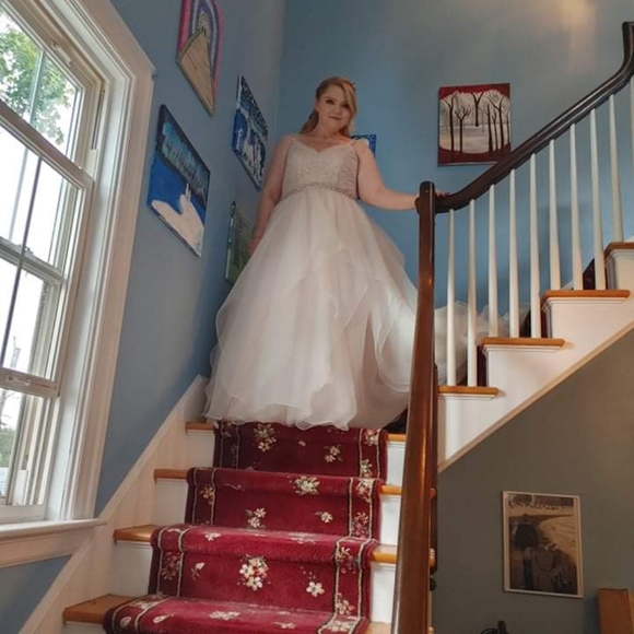 David's Bridal Blush wedding gown - Picture 5 of 7